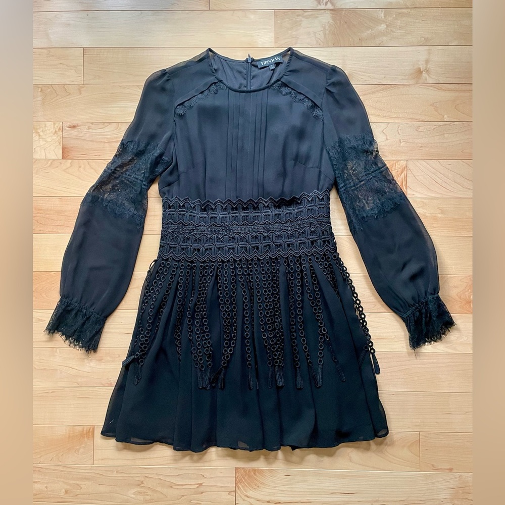 Gorgeous Black Sheer Lace and Tassel Dress